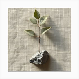 Eucalyptus 1 Canvas Print