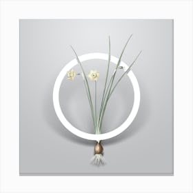 Vintage Daffodil Minimalist Floral Geometric Circle on Soft Gray n.0361 Canvas Print