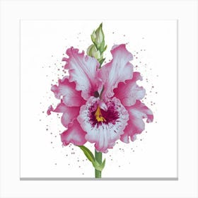 Pink Orchid Canvas Print