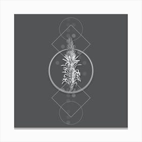 Vintage Pitcairnia Latifolia Botanical with Line Motif and Dot Pattern in Ghost Gray n.0076 Canvas Print