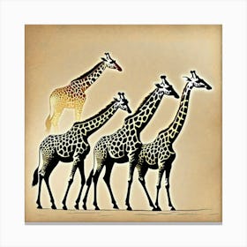 Giraffes pack Canvas Print