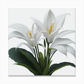 White Lilies myluckycharm 2 Canvas Print