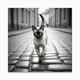 Siamese Cat Walking On Cobblestone Street Canvas Print