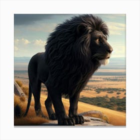 Lion King 41 Canvas Print