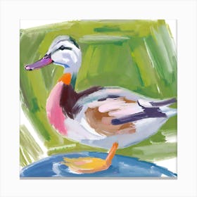 Duck 05 Canvas Print
