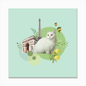 Cat In Paris Canvas Print