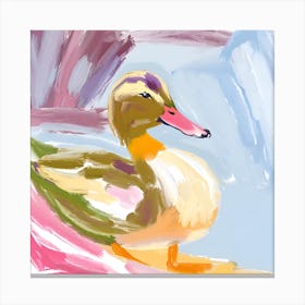 Duck 04 Canvas Print