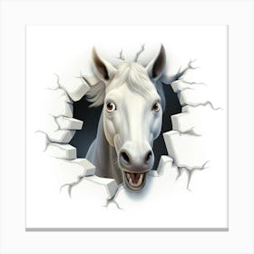 Horse Head Through A Hole Canvas Print