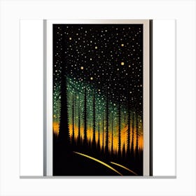 Night sky Canvas Print