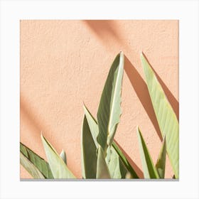 Colorful Garden Square Canvas Print