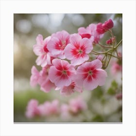 A Blooming Geranium Blossom Tree With Petals Gently Falling In The Breeze 3 Canvas Print