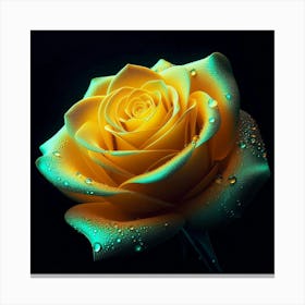 Yellow Rose 29 Canvas Print