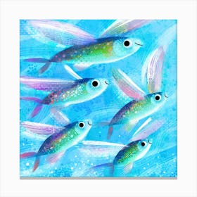 Flying Fish Canvas Print