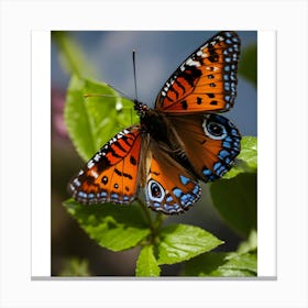 Butterfly With Blue Eyes Canvas Print