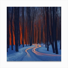 Winter'S Night 1 Canvas Print