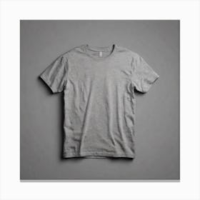 Grey T - Shirt 1 Canvas Print
