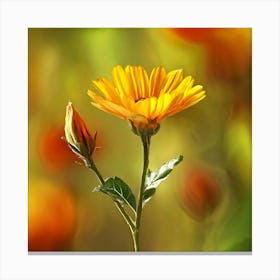 Single Yellow Flower Canvas Print