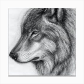 Wolf Sketch Canvas Print