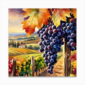 Autumn Vineyards 10 Canvas Print