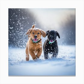 Two Dogs Running In The Snow Canvas Print