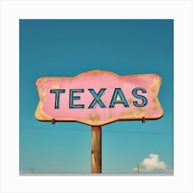 Texas Sign Canvas Print