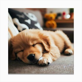 Sleeping Puppy Canvas Print