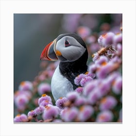 Puffin 1 Canvas Print