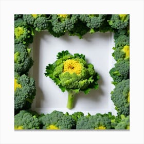 Florets Of Broccoli 26 Canvas Print