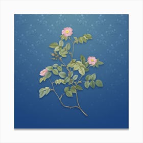 Vintage Sweetbriar Rose Botanical on Bahama Blue Pattern n.1964 Canvas Print