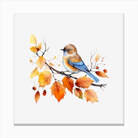 Bluebird On A Branch Canvas Print