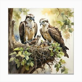 Osprey Family 1 Canvas Print