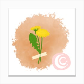Dandelion (Water Flower) Canvas Print