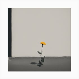 Single Yellow Flower Canvas Print