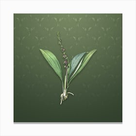 Vintage Peliosanthes Teta Botanical on Lunar Green Pattern n.1363 Canvas Print