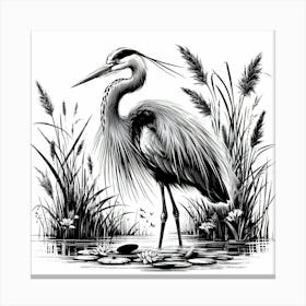 Illustration Heron 3 Canvas Print