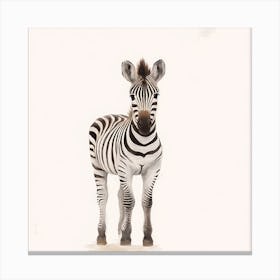 Zebra Canvas Print Canvas Print