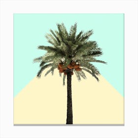 Palm Tree on Cyan and Lemon Wall Canvas Print
