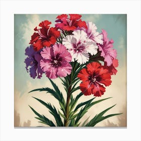 Sweet William Floral Botanical Vintage Poster Flower Art Print 2 Canvas Print