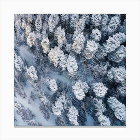 Aerial View Of Snowy Forest 1 Canvas Print