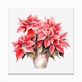 Poinsettia 15 Canvas Print