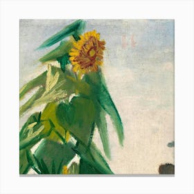 Sunflowers 3 Canvas Print