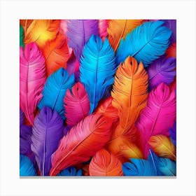 Colorful Feathers Canvas Print