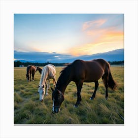 Asm Horses Graze On Grass At Sunset 388e148b B695 45a1 Bb06 59c65f44fdfb Canvas Print