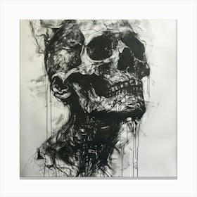 'The Skull' Canvas Print