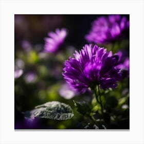 Purple Flowers Canvas Print