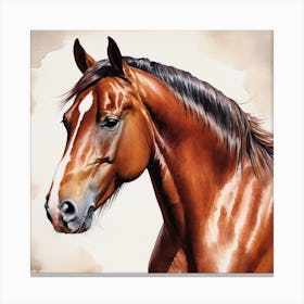 Horse Portrait Canvas Print