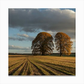 Two Trees In A Field Canvas Print