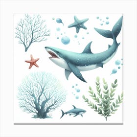 Shark 1 Canvas Print