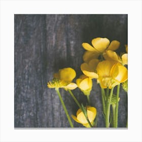 Yellow Flowers Canvas Print