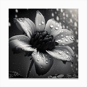 Black And White Flower Canvas Print